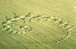 crop circle I - crop circle everywhere?