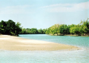 Ganges in green - Ganges the great river of India observed green near kolkata at Canning
