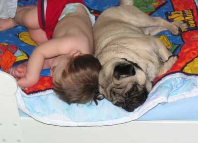 Friends - The puppy and baby are friends