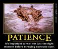 Patience  - Do you have enough patience?