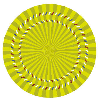 brain teaser - Stare at the center of the circle, move your head back and forth towards the monitor and away from it. The circle appear to slide back and forth..