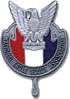 NESA Logo - Logo for the National Eagle Scout Association
