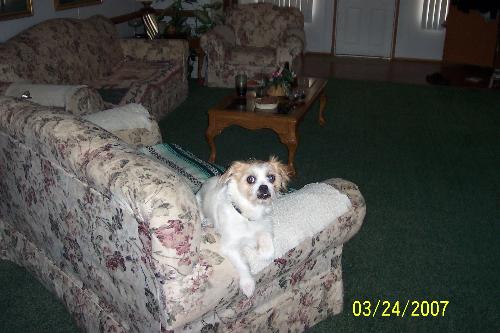 Frodo - Frodo looking his usual cute self1
