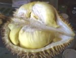 Yummy durian - Smells like hell but tastes like heaven. Tyr it!