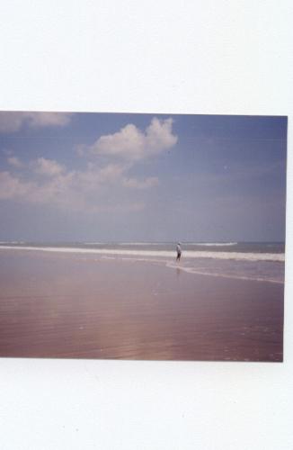 Chandrabhaga, konark - A beach of Orissa. Very tidy and clean.