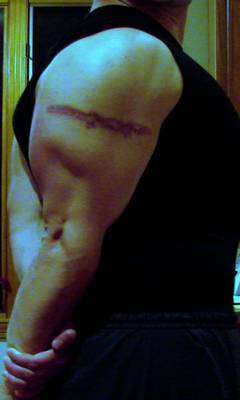 Triceps - April 2006