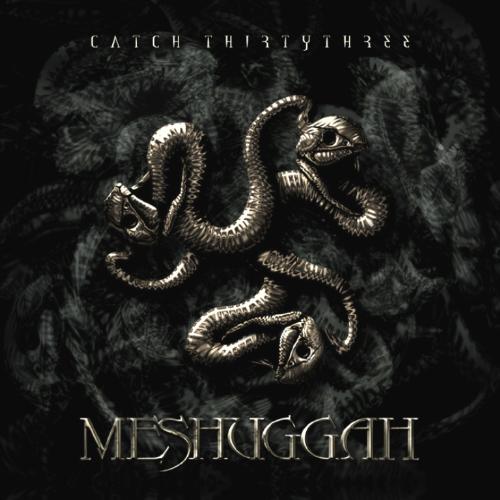 meshuggah catch 33 - meshuggah catch 33... catch 33...