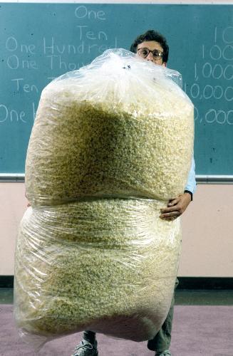 100,000 popped kernels of corn - OMG I could probably eat all of that!