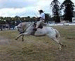 'Domas' - 'Jineteando un bagual' (riding a bronco).