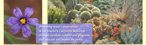 A water conservation Garden - Could I get my garden to look like this? This kind of garden promotes water saving landscaping.