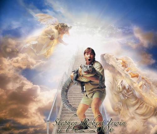 Steve Irwin - A glorious picture of Steve Irwin that i found a long time ago. RIP STEVE IRWIN