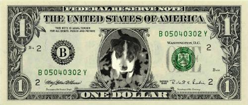 Dog Money! - Generated with my puppy's picture on it!