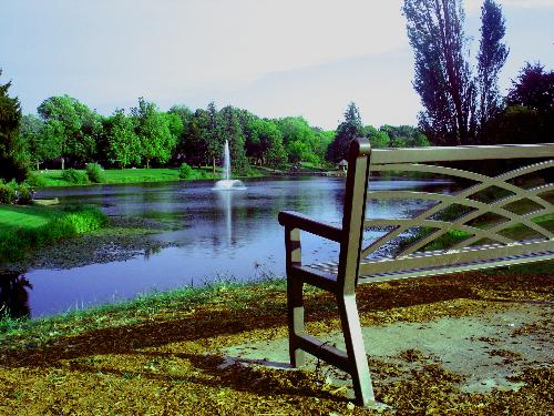 landscape - A pic I took at the lake.