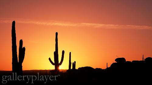 desert - Beautiful tranquil picture of a desert
