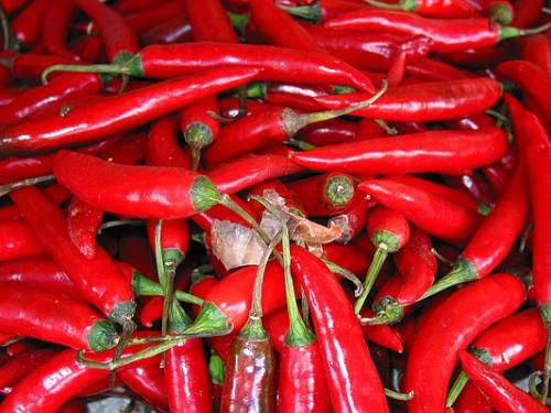 chili hot peppers - Red chili