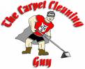 carpet cleaning - carpet cleaning
