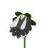 flower blossom - opening blossom