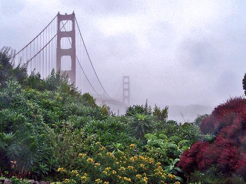 San Francisco - photo of the Golden Gate Bridge in San Francisco amidst the rain