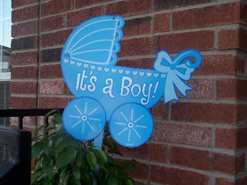 it's a boy! - It's always an amazing thing to be able to bring a new life into this world