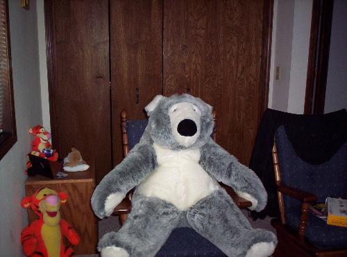 bozzie - my favorite bear