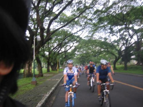 mountain biking - Bikers belonging to the Firefly brigade biking around UP Diliman