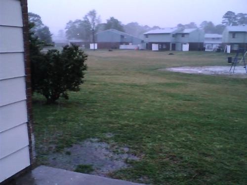 Nature - This was taken yesterday, it never stops raining. Thankfully school starts back tomorrow, kids will be happy.