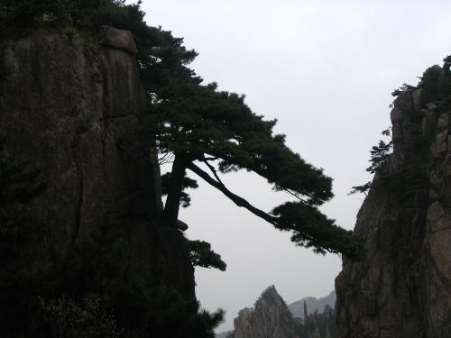 Huangshan - Beautiful Huangshan