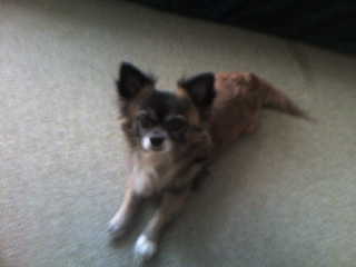 My Gissi  - This is my little Fellow