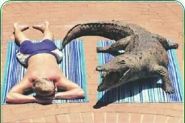 Sunbaking in Australia - I love to sunbake on our wonderful beaches but look who is beside me.