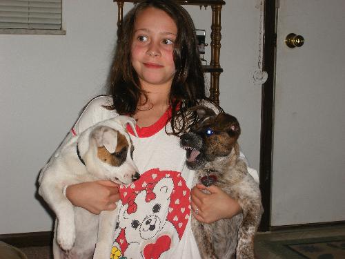 My better half - A good shot of the pups with one of my daughters. The white one is the alhpa, but you can't tell in this photo. Can you?