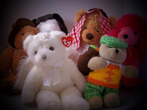 my bear collection - here's my bear collection.