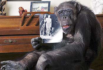 Chimpanzee is 75 years old. - Cheeta, the chimpanzee who stared in Dr. Do Little, is now 75 years old.