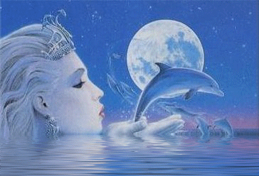 Dolphins - This is a really cool gif I found that I thought I would share.