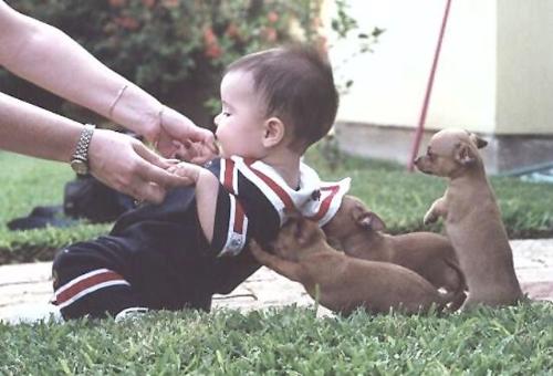 I will support you! - Found this one in my email. It is so cute! I wonder if the kids knows. Heh heh... and the puppies are so adorable too!