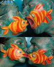 fish - love like a fish