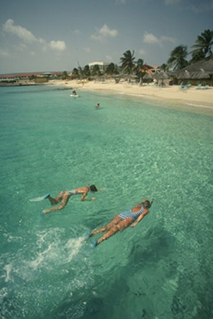 Snorkelling in the Ocean - Swimming