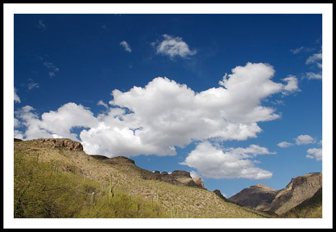 Do you stare at clouds? - A picture of clouds.