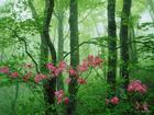 beautiful scenery -  Original feel in heart and soul