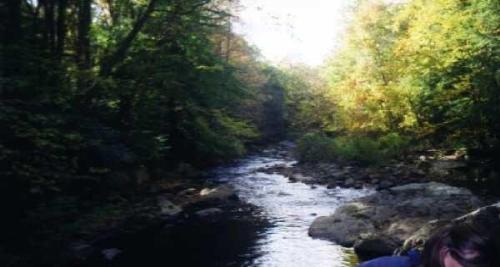 Ohiopyle - One of the streams at a state park