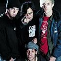 the used members - waahh.. i love them.. like their songs, all that i've got, buried myself alive, blue and yellow, on my own etc..