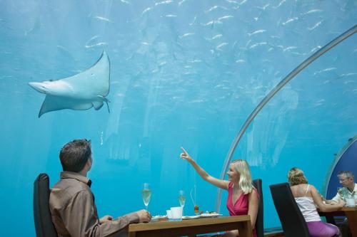 Restaurent in the Sea - The first ever all glass undersea Restaurent belongs to the Hilton group and situated at Maldives.
