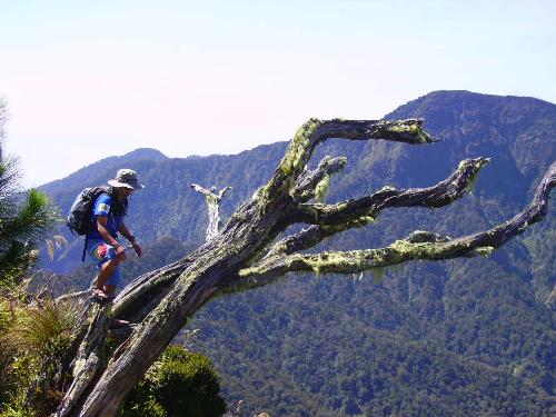 mt;.kitanglad - on motion shot. a look at the peak of mt. dulang dulang from the peak of mt. kitanglad.... bukidnon,philipines