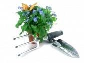 plants - can be associated in gardens, hobbies, things i want to do in my life