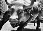 The Bull - always bullish...