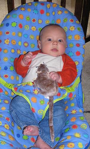 Baby playing with his toy rat - My son likes this toy rat that a friend got for us. I also keep pet rats, so someday he will play with them.