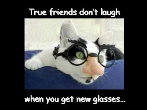 Cats have feelings too. - Hey! what are you laughing at!!