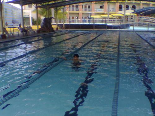 pool - lap pool