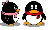QQpet - so lovely,you will love them too!