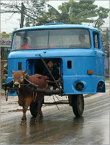 Tempocart - How people are dealing with is really very interesting. See this photo. Is it bullock cart? or Tempo? or Tempocart?