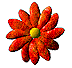 flowers - flowers are very important for cheer